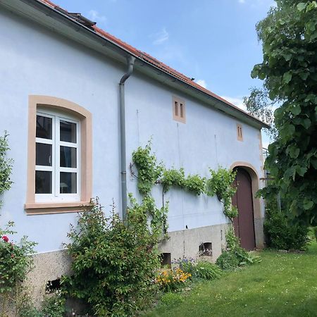Ferienwohnung Maurer Hasborn-Dautweiler Ngoại thất bức ảnh
