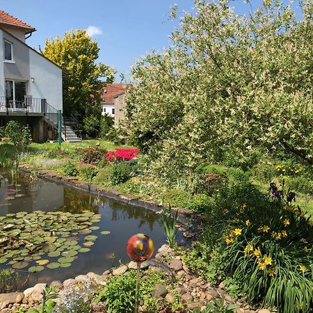 Ferienwohnung Maurer Hasborn-Dautweiler Ngoại thất bức ảnh